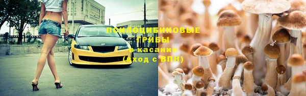 сатива Баксан