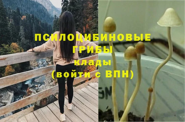 синтетический гашиш Арсеньев