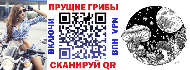 купить наркотик  Стародуб  Галлюциногенные грибы GOLDEN TEACHER 